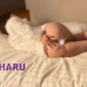 ヒメ日記 2026/02/20 19:55 投稿 はる セレブコレクション赤坂