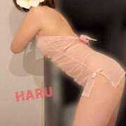 ヒメ日記 2026/02/27 02:59 投稿 はる セレブコレクション赤坂