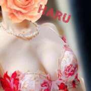 ヒメ日記 2026/03/21 03:05 投稿 はる セレブコレクション赤坂