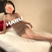 ヒメ日記 2026/03/24 17:56 投稿 はる セレブコレクション赤坂