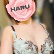 ヒメ日記 2026/04/02 20:14 投稿 はる セレブコレクション赤坂