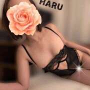 ヒメ日記 2026/04/03 20:36 投稿 はる セレブコレクション赤坂