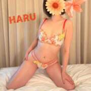 ヒメ日記 2026/04/08 02:36 投稿 はる セレブコレクション赤坂