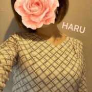 ヒメ日記 2026/04/15 19:33 投稿 はる セレブコレクション赤坂