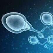 ヒメ日記 2025/09/12 05:45 投稿 ゆうな セレブコレクション赤坂