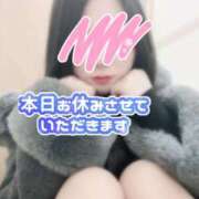 ヒメ日記 2024/12/16 09:16 投稿 あかね 恋のうた