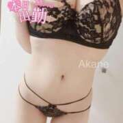 ヒメ日記 2024/12/23 09:08 投稿 あかね 恋のうた