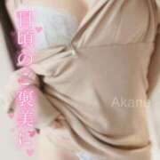 ヒメ日記 2024/12/29 16:34 投稿 あかね 恋のうた