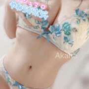 ヒメ日記 2024/12/30 19:19 投稿 あかね 恋のうた