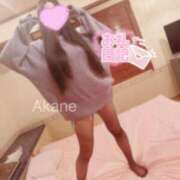 ヒメ日記 2024/12/31 05:16 投稿 あかね 恋のうた