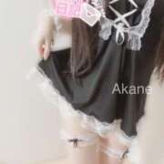 ヒメ日記 2025/02/08 03:39 投稿 あかね 恋のうた