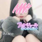 ヒメ日記 2025/03/05 18:23 投稿 あかね 恋のうた