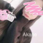 ヒメ日記 2025/03/16 03:50 投稿 あかね 恋のうた