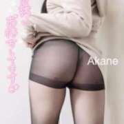 ヒメ日記 2025/04/03 16:29 投稿 あかね 恋のうた