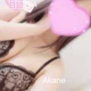 ヒメ日記 2025/04/04 03:32 投稿 あかね 恋のうた