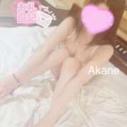 ヒメ日記 2025/04/17 20:53 投稿 あかね 恋のうた