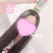 ヒメ日記 2025/06/30 03:13 投稿 あかね 恋のうた