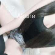 ヒメ日記 2025/07/25 13:42 投稿 あかね 恋のうた