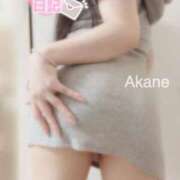 ヒメ日記 2025/08/03 03:57 投稿 あかね 恋のうた