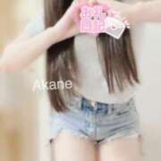 ヒメ日記 2025/08/22 03:00 投稿 あかね 恋のうた