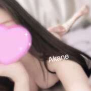 ヒメ日記 2025/08/25 17:06 投稿 あかね 恋のうた