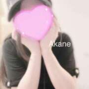 ヒメ日記 2025/08/30 15:32 投稿 あかね 恋のうた