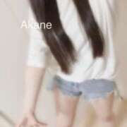 ヒメ日記 2025/09/05 15:47 投稿 あかね 恋のうた