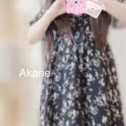 ヒメ日記 2025/09/09 22:19 投稿 あかね 恋のうた