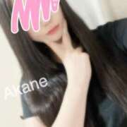 ヒメ日記 2025/09/23 16:19 投稿 あかね 恋のうた