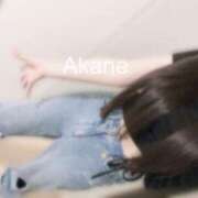 ヒメ日記 2025/09/25 17:01 投稿 あかね 恋のうた