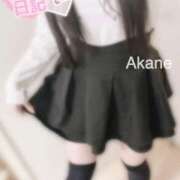 ヒメ日記 2025/10/24 18:17 投稿 あかね 恋のうた