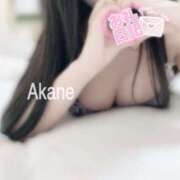 ヒメ日記 2025/11/04 01:09 投稿 あかね 恋のうた