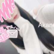 ヒメ日記 2025/11/18 23:00 投稿 あかね 恋のうた