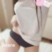 ヒメ日記 2025/11/24 07:53 投稿 あかね 恋のうた