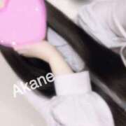 ヒメ日記 2025/12/13 15:45 投稿 あかね 恋のうた