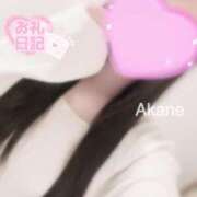 ヒメ日記 2026/04/14 17:30 投稿 あかね 恋のうた