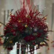 ひとみ おはようございます♪ 西川口淑女館