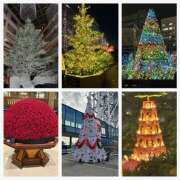 ヒメ日記 2025/12/25 16:57 投稿 ひとみ 西川口淑女館