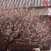 ヒメ日記 2026/03/17 18:54 投稿 ひとみ 西川口淑女館