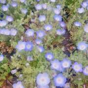 ヒメ日記 2025/06/25 12:25 投稿 みか ミルキーパイ