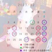 ヒメ日記 2023/11/28 21:04 投稿 きい ナチュラルプリンセス