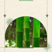 ヒメ日記 2025/05/07 15:27 投稿 いずみ YESグループ　華女