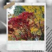 ヒメ日記 2025/10/22 15:53 投稿 いずみ YESグループ　華女