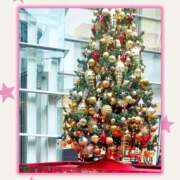 ヒメ日記 2025/12/01 08:35 投稿 いずみ YESグループ　華女