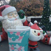 ヒメ日記 2025/12/19 18:05 投稿 いずみ YESグループ　華女