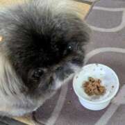 ヒメ日記 2025/03/05 08:40 投稿 ともえ 鶯谷おかあさん