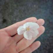 ヒメ日記 2025/03/28 20:25 投稿 ともえ 鶯谷おかあさん