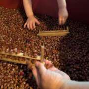 ヒメ日記 2025/06/16 16:45 投稿 ともえ 鶯谷おかあさん