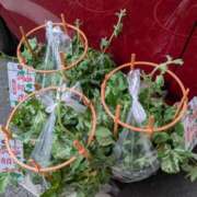 ヒメ日記 2025/07/07 19:29 投稿 ともえ 鶯谷おかあさん