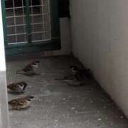 ヒメ日記 2025/07/11 06:09 投稿 ともえ 鶯谷おかあさん